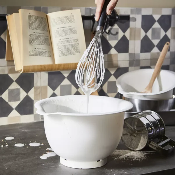 کاسه دوتایی ایکیا